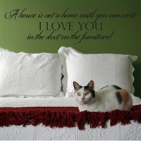 A house is not a home until you can write I love you in the dust - Vinyl Wall Decal - Wall Quote - Wall Decor