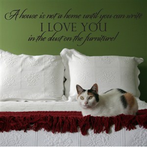 A house is not a home until you can write I love you in the dust - Vinyl Wall Decal - Wall Quote - Wall Decor